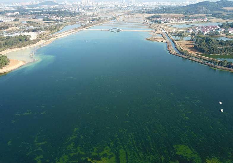 江西省新余市龙须沟水环境提升项目